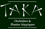 Taka