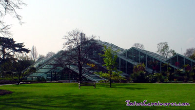 Princess of Wales Conservatory