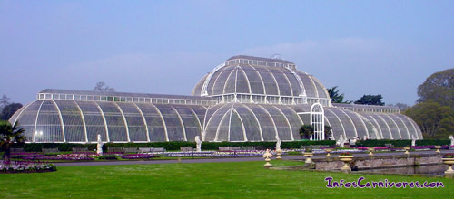 The Palm House (Kew Gardens)